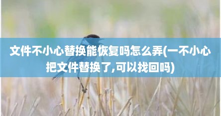 文件不小心替换能恢复吗怎么弄(一不小心把文件替换了,可以找回吗)