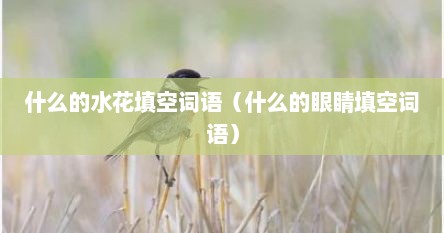 什么的水花填空词语（什么的眼睛填空词语）