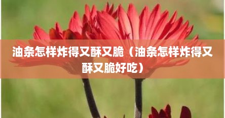 油条怎样炸得又酥又脆（油条怎样炸得又酥又脆好吃）