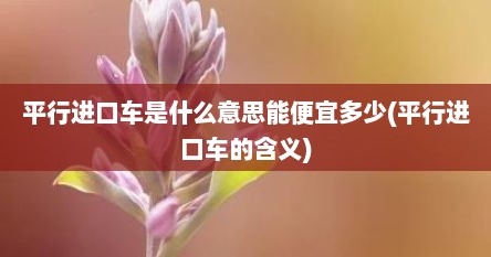 平行进口车是什么意思能便宜多少(平行进口车的含义)
