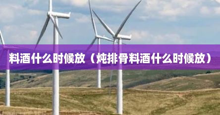 料酒什么时候放（炖排骨料酒什么时候放）
