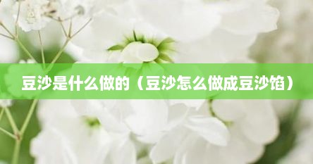 豆沙是什么做的（豆沙怎么做成豆沙馅）