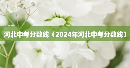 河北中考分数线（2024年河北中考分数线）