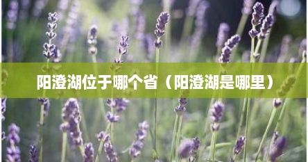 阳澄湖位于哪个省（阳澄湖是哪里）
