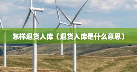 怎样退货入库（退货入库是什么意思）