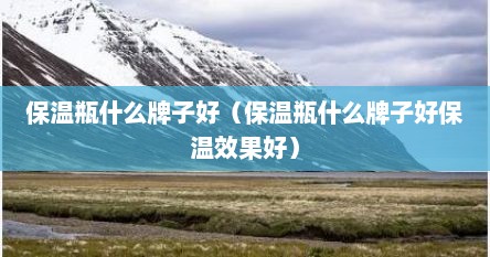保温瓶什么牌子好（保温瓶什么牌子好保温效果好）