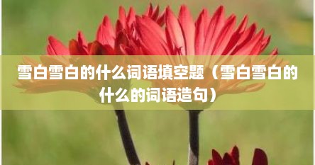 雪白雪白的什么词语填空题（雪白雪白的什么的词语造句）