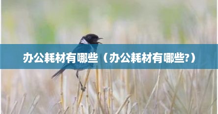办公耗材有哪些（办公耗材有哪些?）