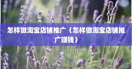 怎样做淘宝店铺推广（怎样做淘宝店铺推广赚钱）