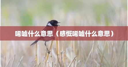 唏嘘什么意思（感慨唏嘘什么意思）