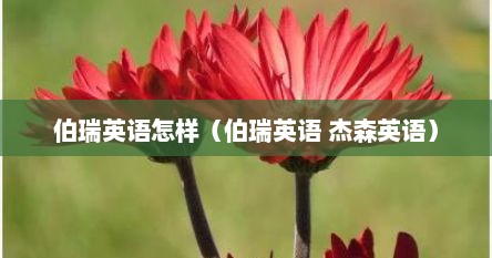 伯瑞英语怎样（伯瑞英语 杰森英语）