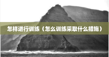 怎样进行训练（怎么训练采取什么措施）