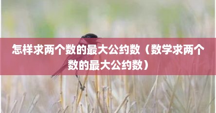怎样求两个数的最大公约数（数学求两个数的最大公约数）