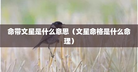 命带文星是什么意思（文星命格是什么命理）