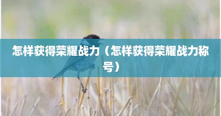 怎样获得荣耀战力（怎样获得荣耀战力称号）