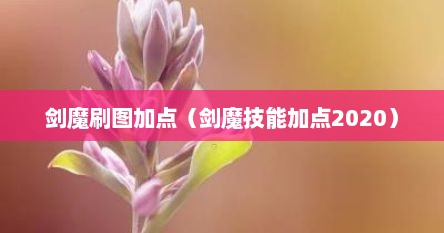 剑魔刷图加点（剑魔技能加点2020）