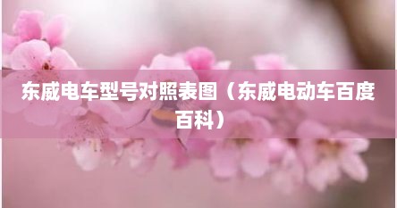 东威电车型号对照表图（东威电动车百度百科）