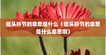低头折节的意思是什么（低头折节的意思是什么意思啊）