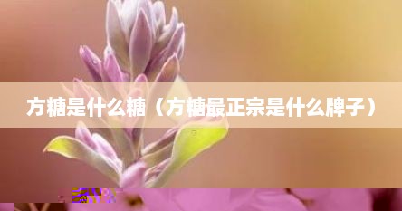 方糖系列是哪个品牌的（方糖是什么糖做的）