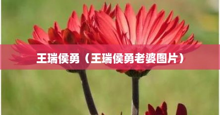 王瑞侯勇（王瑞侯勇老婆图片）