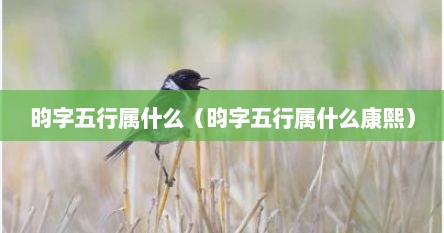 昀字五行属什么（昀字五行属什么康熙）