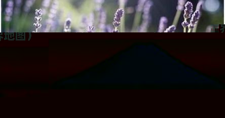 迪拜地图位置（迪拜地图位置世界地图）