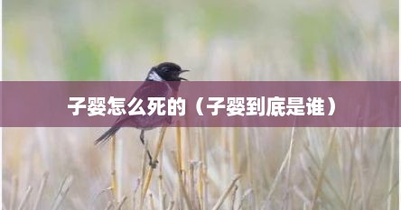 子婴怎么死的（子婴到底是谁）