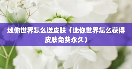 迷你世界怎么送皮肤（迷你世界怎么获得皮肤免费永久）