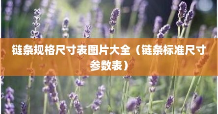 链条规格尺寸表图片大全（链条标准尺寸参数表）