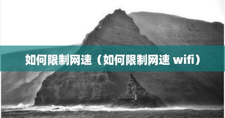 如何限制网速（如何限制网速 wifi）