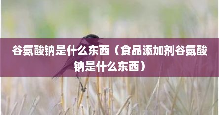 谷氨酸钠是什么东西（食品添加剂谷氨酸钠是什么东西）