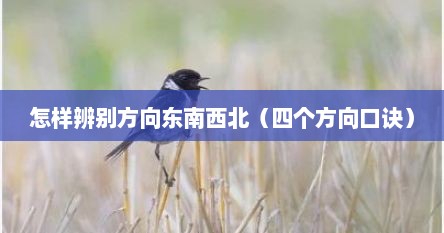 怎样辨别方向东南西北（四个方向口诀）