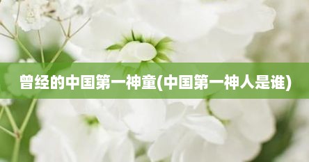 曾经的中国第一神童(中国第一神人是谁)