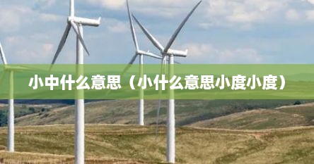 小中什么意思（小什么意思小度小度）