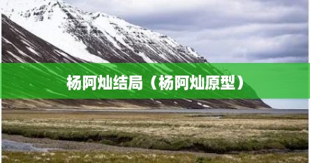 杨阿灿结局（杨阿灿原型）