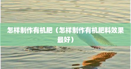 怎样制作有机肥（怎样制作有机肥料效果最好）