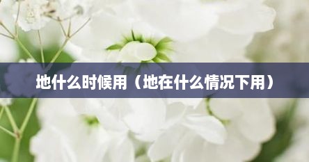 地什么时候用（地在什么情况下用）