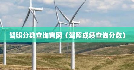 驾照分数查询官网（驾照成绩查询分数）