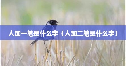人加一笔是什么字（人加二笔是什么字）
