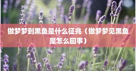 做梦梦到黑鱼是什么征兆（做梦梦见黑鱼是怎么回事）
