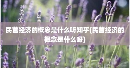 民营经济的概念是什么呀知乎(民营经济的概念是什么呀)