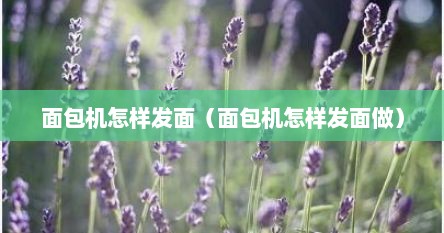 面包机怎样发面（面包机怎样发面做）