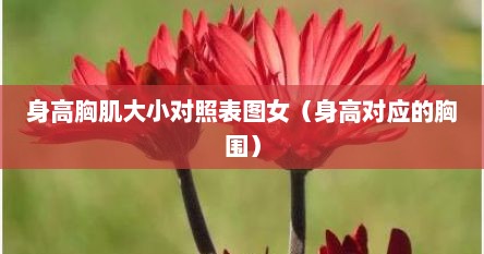 身高胸肌大小对照表图女（身高对应的胸围）