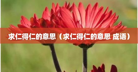 求仁得仁的意思（求仁得仁的意思 成语）