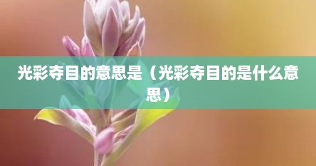 光彩夺目的意思是（光彩夺目的是什么意思）