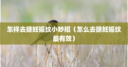 怎样去除妊娠纹小妙招（怎么去除妊娠纹最有效）