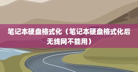 笔记本硬盘格式化（笔记本硬盘格式化后无线网不能用）