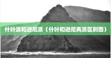 什叶派和逊尼派（什叶和逊尼两派区别图）