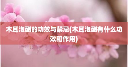 木耳泡醋的功效与禁忌(木耳泡醋有什么功效和作用)