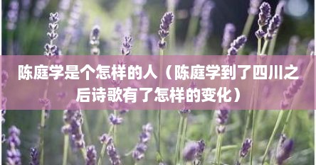 陈庭学是个怎样的人（陈庭学到了四川之后诗歌有了怎样的变化）